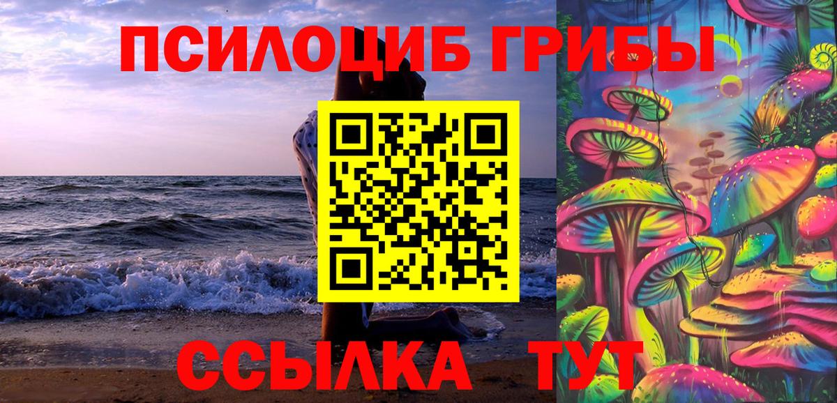 Галлюциногенные грибы прущие грибы  Псилоцибиновые грибы Psilocybe  Тейково  Вход с VPN 